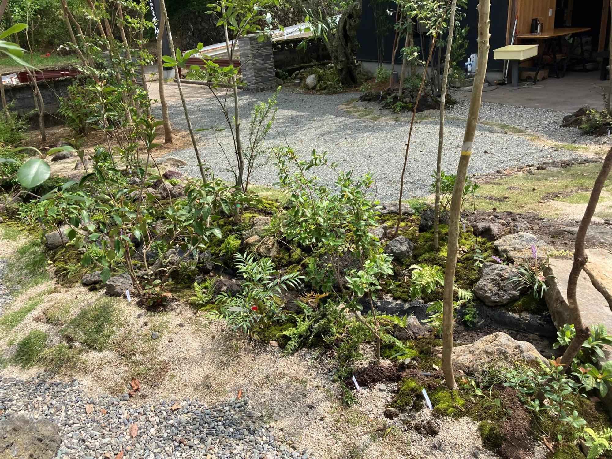 お宿でん吉 南阿蘇村 エクステリア 写真